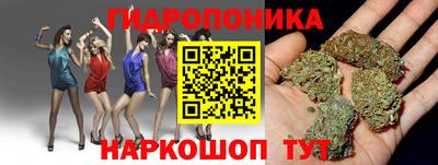 apvp Шелехов