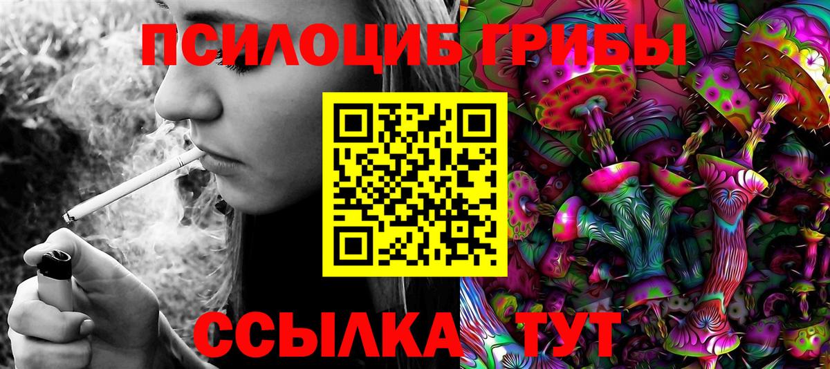 Псилоцибиновые грибы Psilocybine cubensis  Вход с VPN  Карачаевск 