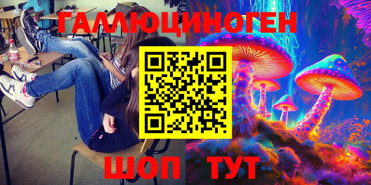 Псилоцибиновые грибы Cubensis Карачаевск